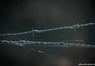 jdb电子财神捕鱼在线平台安全性深度剖析